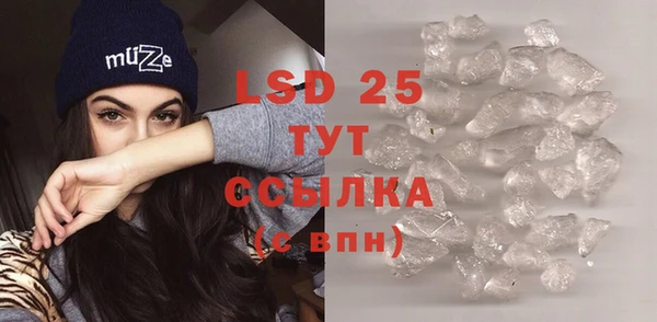 винт Новозыбков