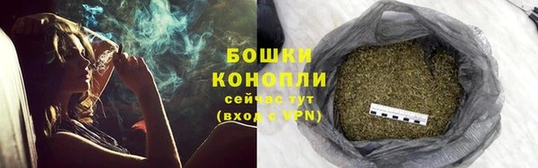 mdpv Новодвинск