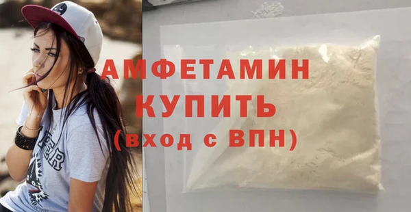 шишки Нязепетровск
