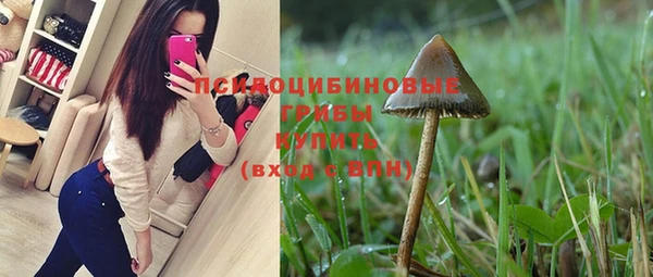 ECSTASY Няндома